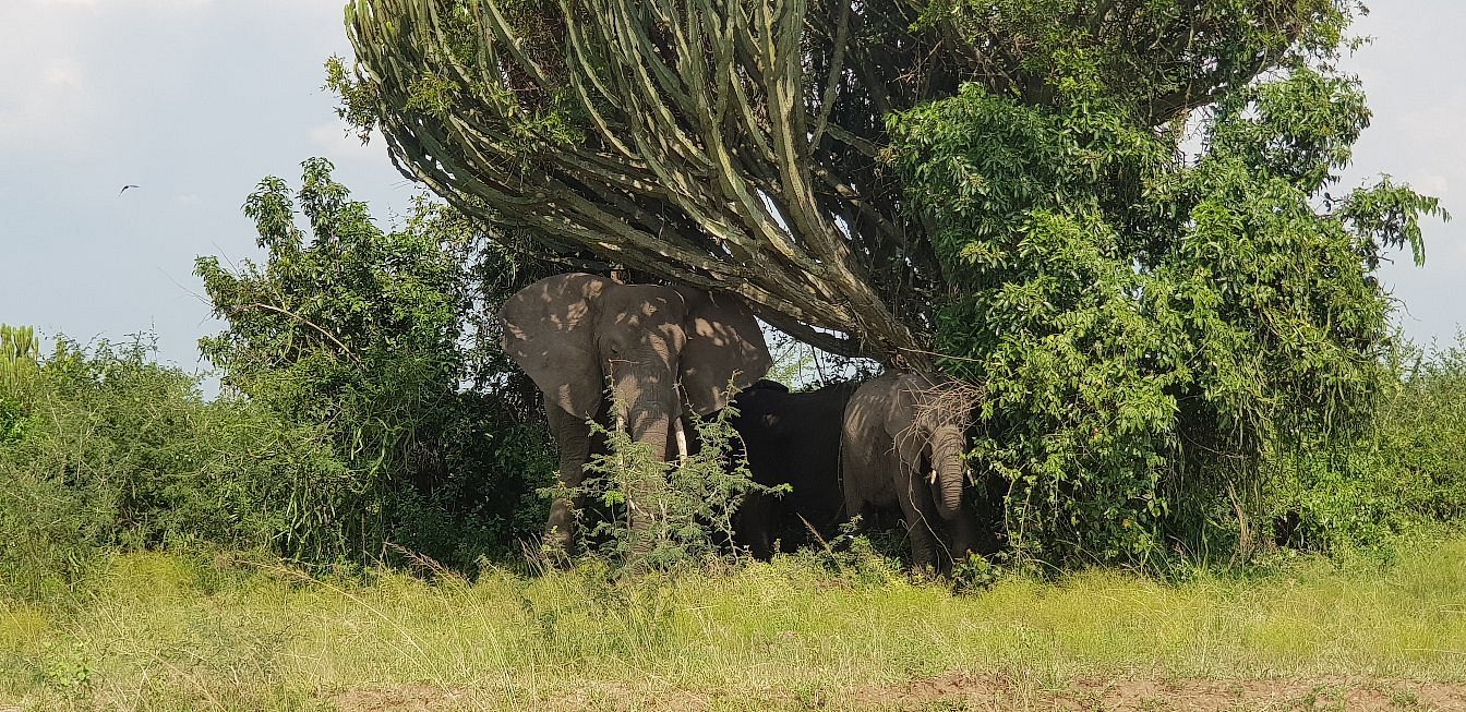 Serengeti National Park